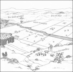 Fig 1 Moscara