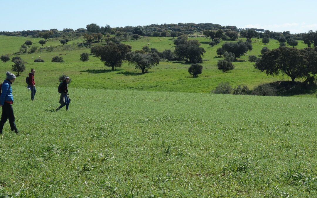 Online-Internships: Digital Field Survey Archaeology in Portugal