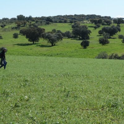 Tegel Stage Field Survey Archaeology