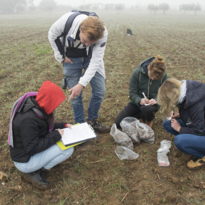 Fieldwork