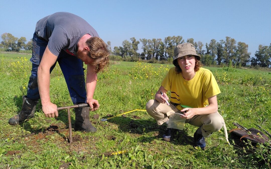 KNIR Artist in Residence met archeologen op veldwerk in de Pontijnse moerassen